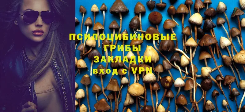 Псилоцибиновые грибы MAGIC MUSHROOMS  Арск 